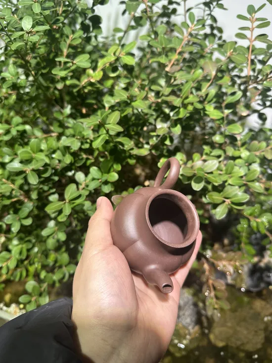 Premium Yixing Clay Teapots | Handcrafted Zisha Artistry 8