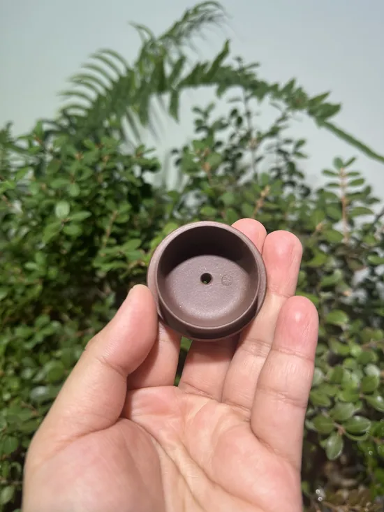 Premium Yixing Clay Teapots | Handcrafted Zisha Artistry 9