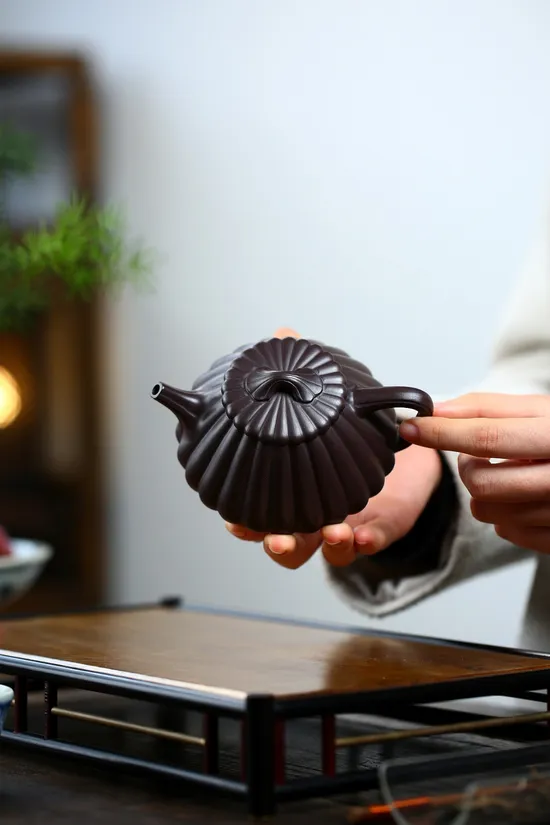 Premium Yixing Zisha Teapot | Handcrafted Clay Artisan Teapots 6