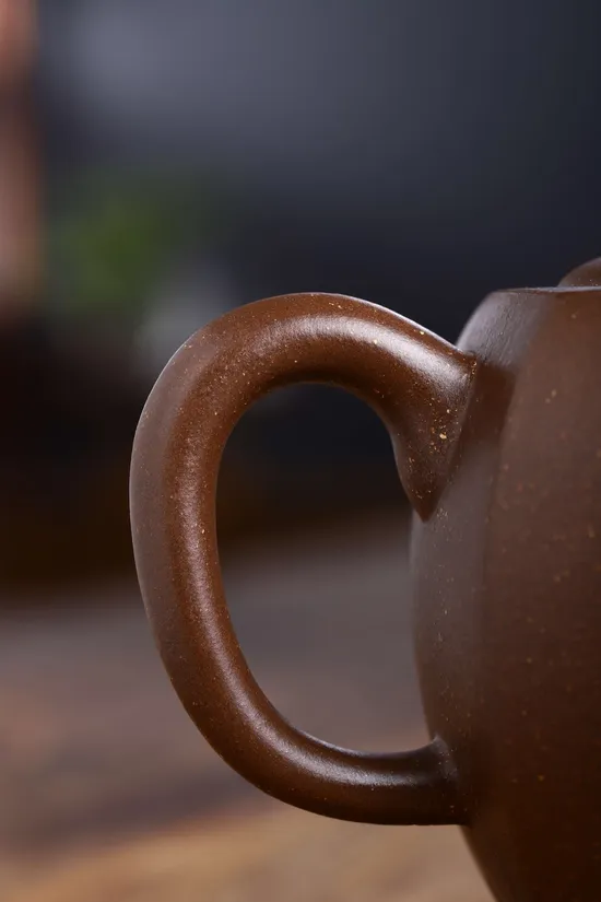 Premium Yixing Clay Teapot | Authentic Zisha Artisan Teapots 7