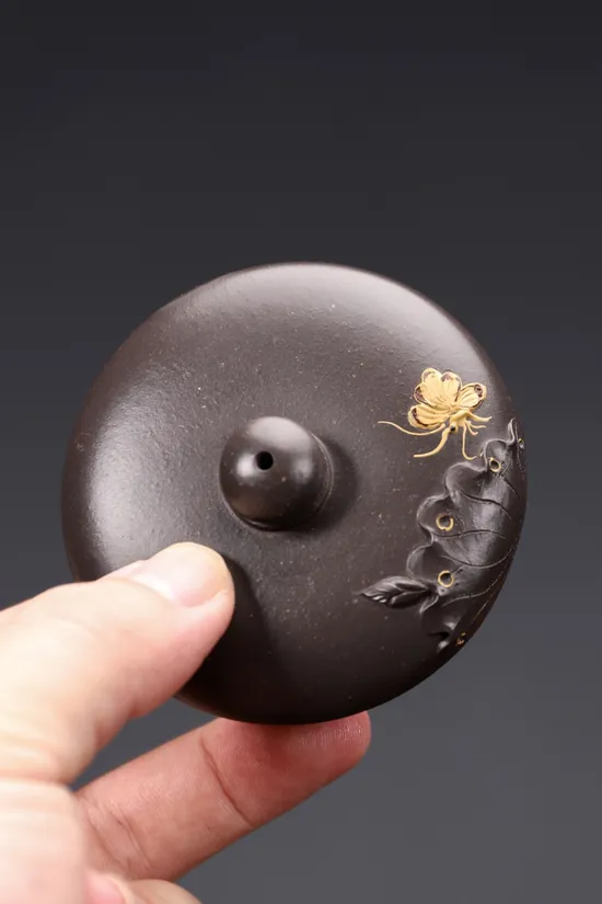 Yixing Zisha Teapot | Handcrafted Tianqing Clay Artisan Teapot 2