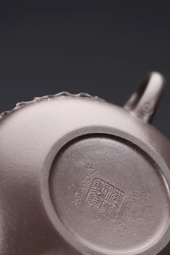 Yixing Zisha Teapot | Handcrafted Tianqing Clay Artisan Teapot 6