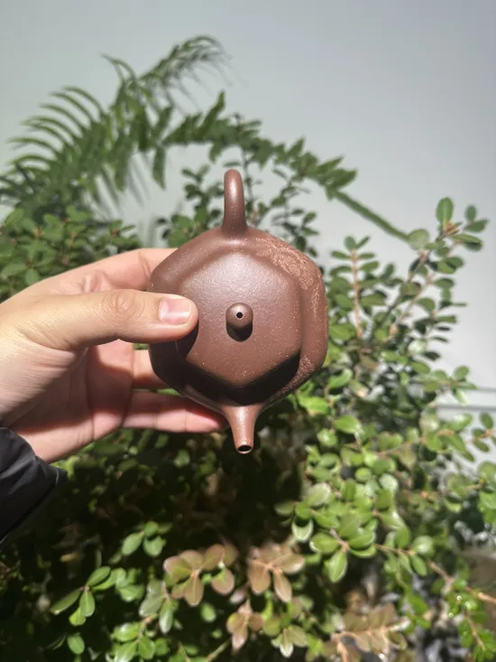 Premium Yixing Zisha Clay Teapot – Handcrafted Artistry & Tradition 1