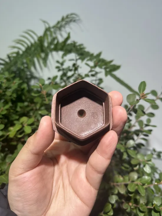 Premium Yixing Zisha Clay Teapot – Handcrafted Artistry & Tradition 8