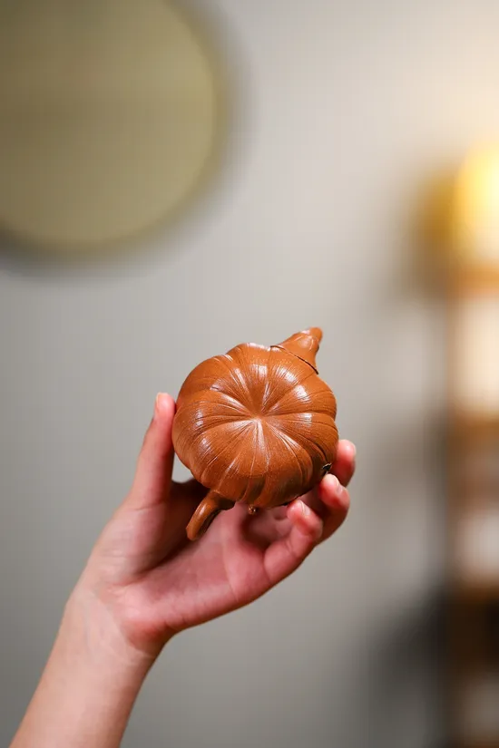 Premium Yixing Agarwood Clay Teapot | Yang Peng | 150cc 2