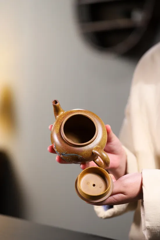 Handcrafted Yixing Zisha Teapot | Artisan Clay Teapots | Master's Apprentice 1