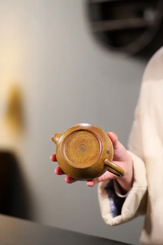 Handcrafted Yixing Zisha Teapot | Artisan Clay Teapots | Master's Apprentice 2