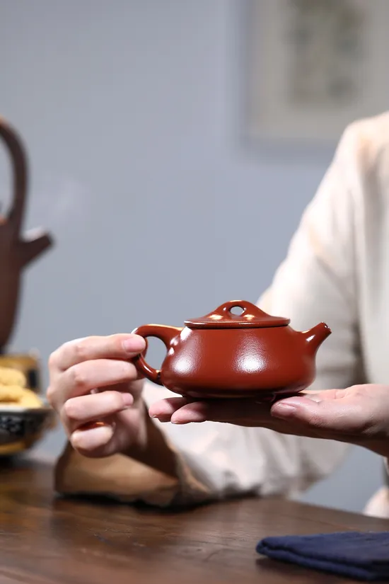 Premium Yixing Zisha Teapot | Authentic Handcrafted Clay Artisan Pottery 3