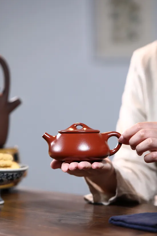 Premium Yixing Zisha Teapot | Authentic Handcrafted Clay Artisan Pottery 8