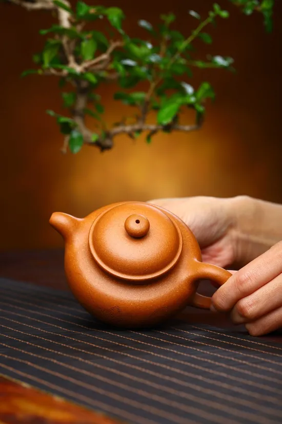 Premium Yixing Zisha Clay Teapot Handcrafted Artisan Tea Masterpiece 1