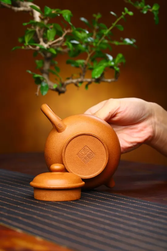 Premium Yixing Zisha Clay Teapot Handcrafted Artisan Tea Masterpiece 7