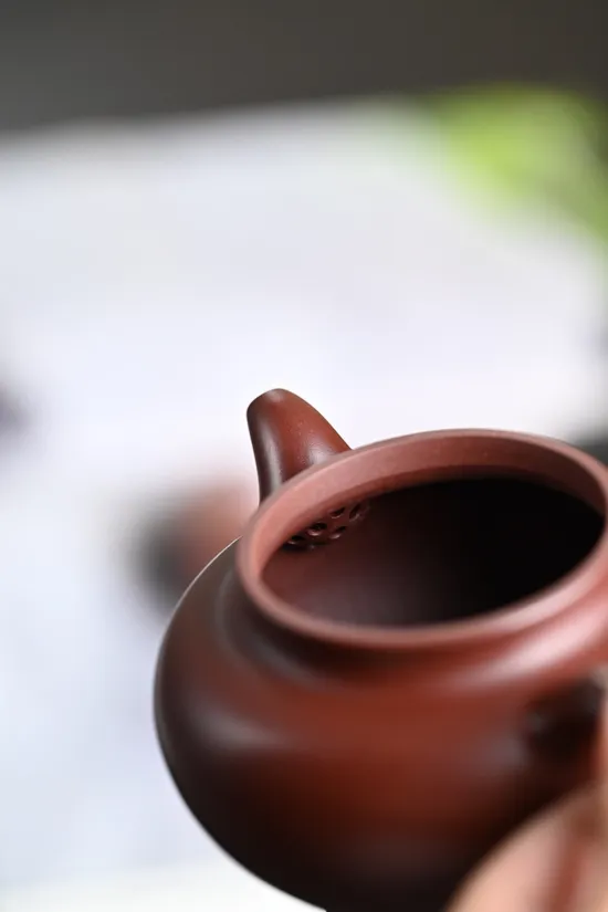 Premium Zisha Teapot - Sun Jianfang Handcrafted Yixing Clay Pot 6