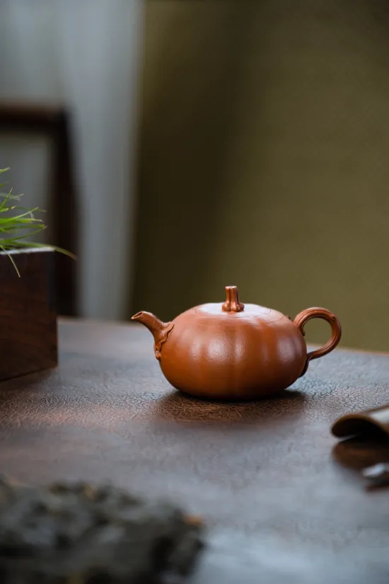 Best Yixing Zisha Clay Teapot | Handcrafted by Chen Nuo | 150cc 4