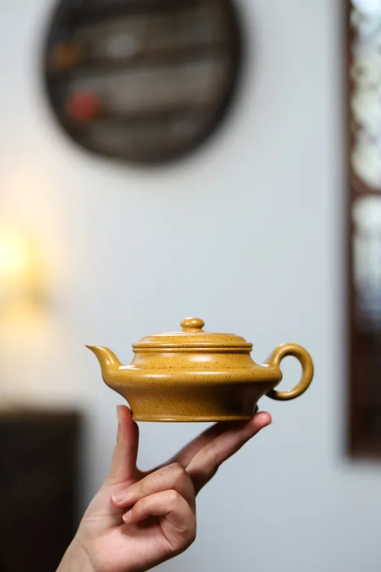 Premium Yixing Zisha Clay Teapot | Handcrafted Artisan Design 2