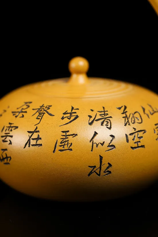 Premium Yixing Clay Teapot | Master Xu Nan Handcrafted Zisha Art 5