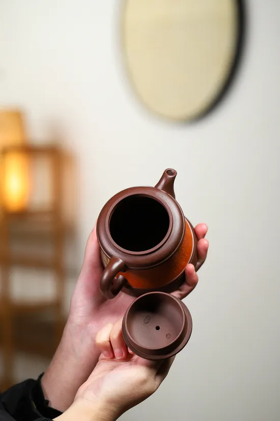 Premium Yixing Zisha Clay Teapot | Handcrafted Artisan Teapots 5