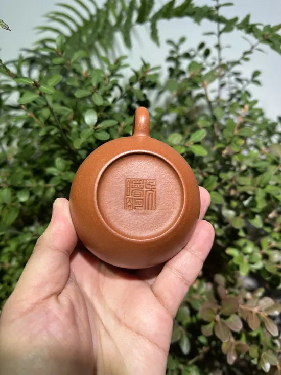 Premium Yixing Wenda Clay Teapot | Artisan Crafted Zisha Pot 1