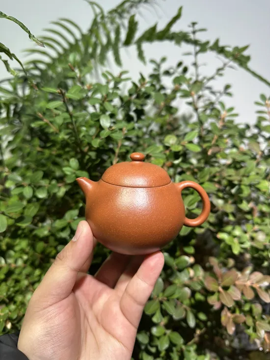 Premium Yixing Wenda Clay Teapot | Artisan Crafted Zisha Pot 2