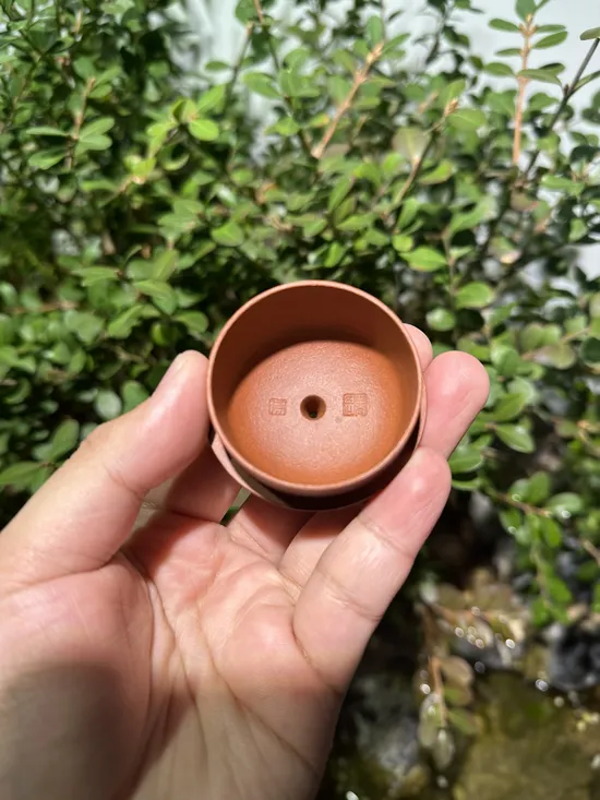 Premium Yixing Wenda Clay Teapot | Artisan Crafted Zisha Pot 3