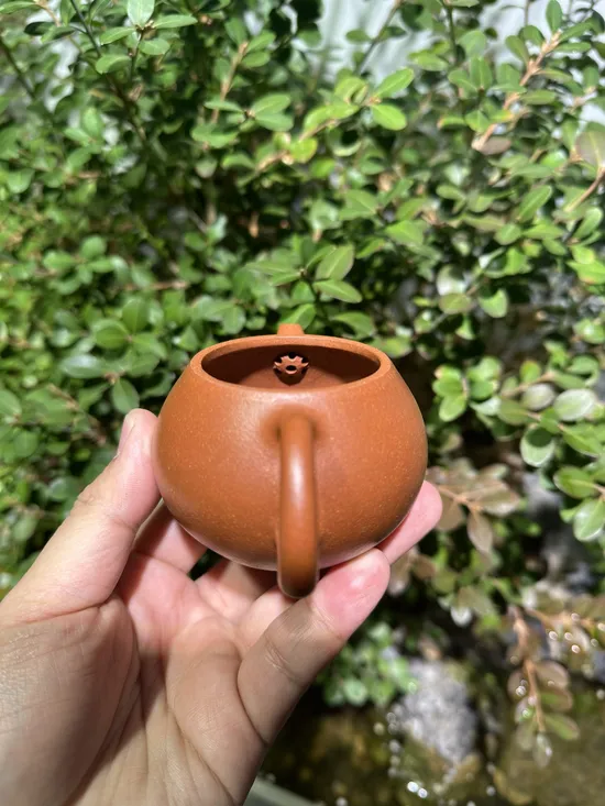 Premium Yixing Wenda Clay Teapot | Artisan Crafted Zisha Pot 4