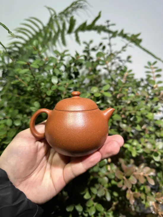 Premium Yixing Wenda Clay Teapot | Artisan Crafted Zisha Pot 5