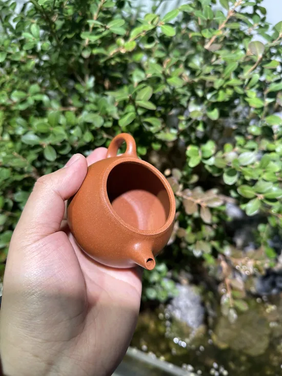 Premium Yixing Wenda Clay Teapot | Artisan Crafted Zisha Pot 6
