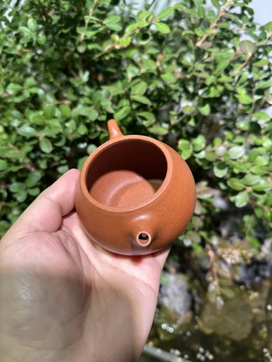 Premium Yixing Wenda Clay Teapot | Artisan Crafted Zisha Pot 7