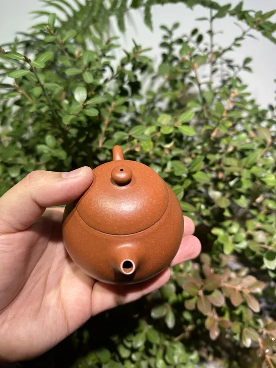 Premium Yixing Wenda Clay Teapot | Artisan Crafted Zisha Pot 8