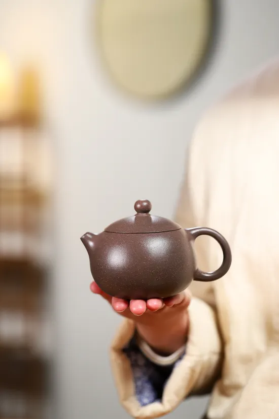 Premium Yixing Zisha Clay Teapot – New Year Exclusive 4