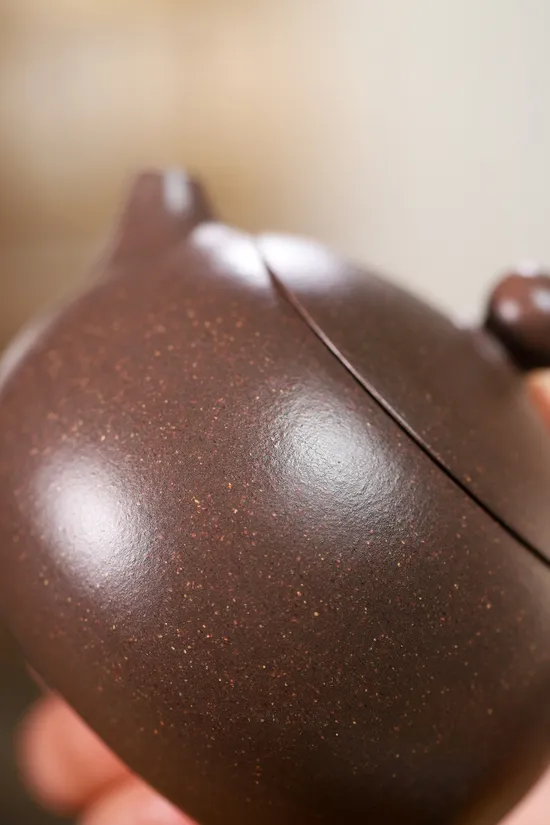 Premium Yixing Zisha Clay Teapot – New Year Exclusive 6