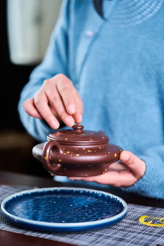 Premium Yixing Zisha Clay Teapot – Artisan Crafted Chinese Teapots 4